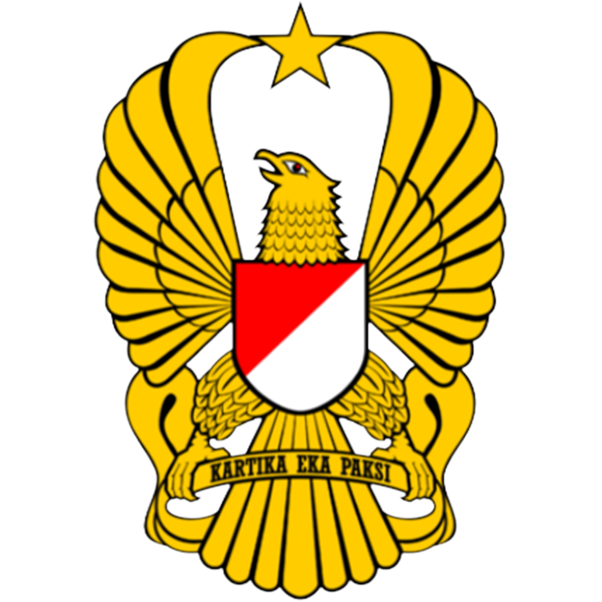 INDONESIAN ARMY